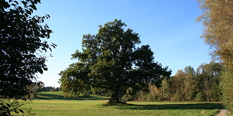 Stacks Image 174